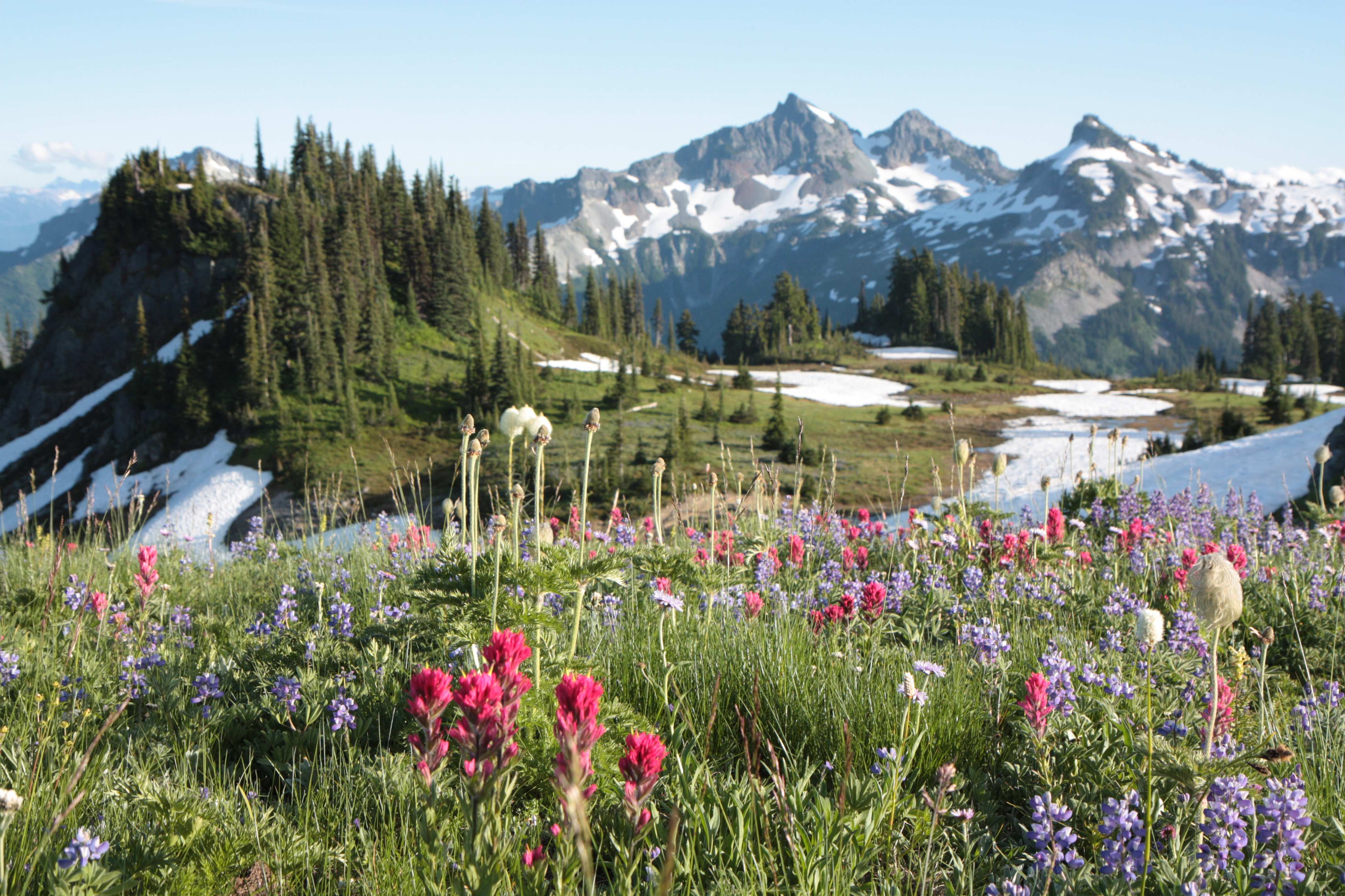Mount Rainier NP